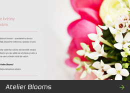 Atelier Blooms