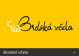 Brdská včela