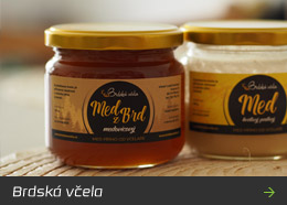 Brdská včela