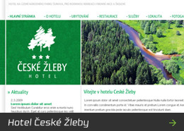 Hotel České Žleby
