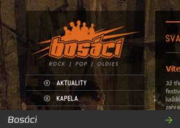 Bosáci