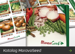 Katalog MoravoSeed - osivo