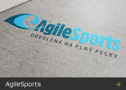 Agile Sports